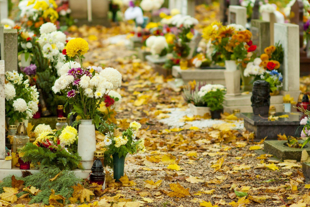 кладбище осенью